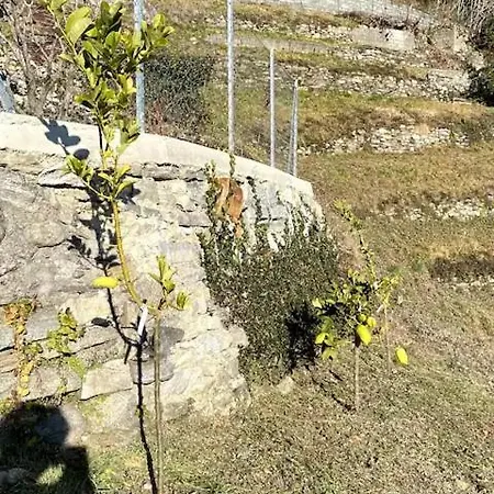 Ca'gialla * Bellinzona